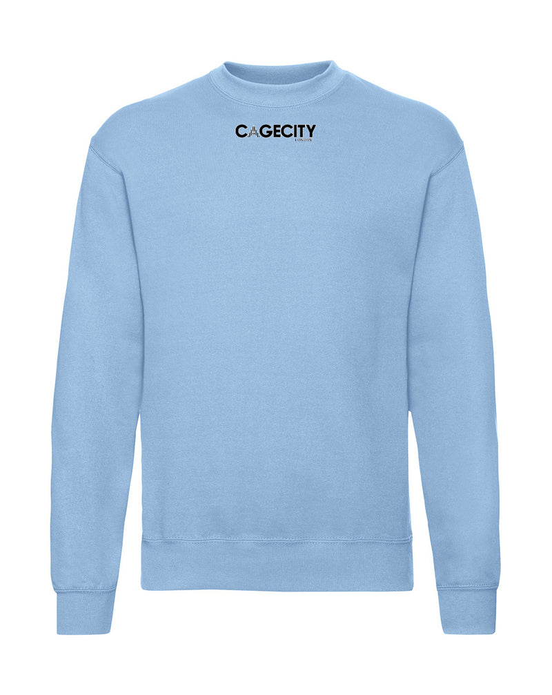Sky Blue Crewneck Jumper
