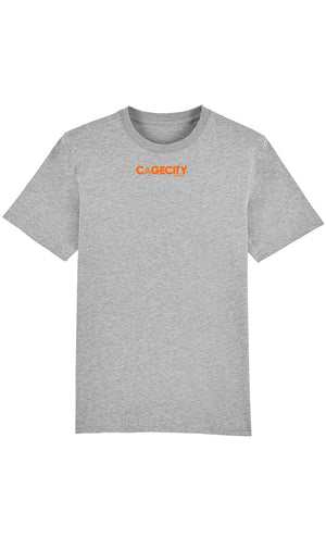 Grey T-shirt