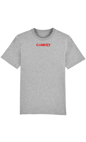 Grey T-shirt