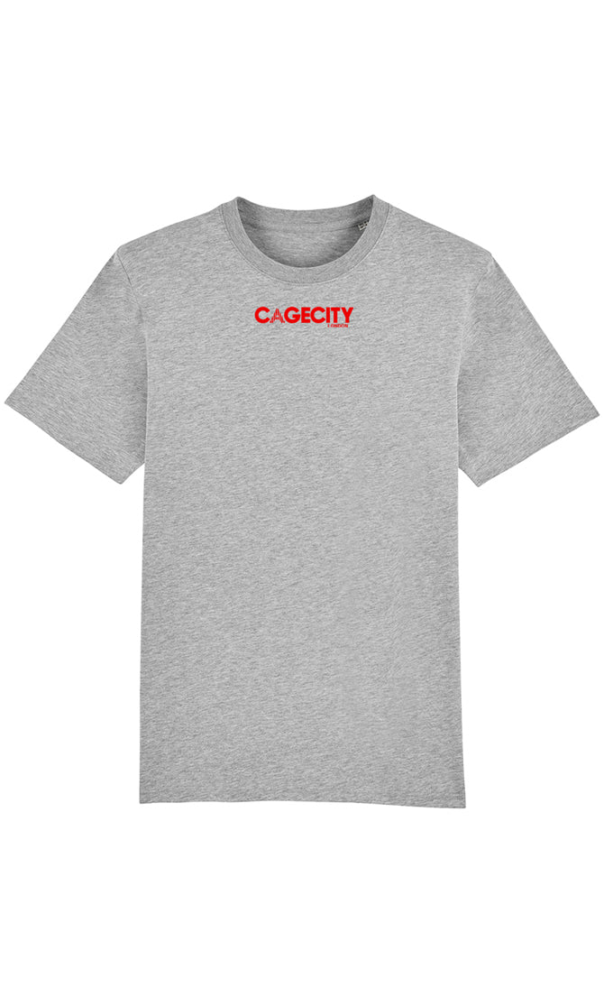 Grey T-shirt